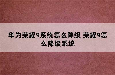 华为荣耀9系统怎么降级 荣耀9怎么降级系统